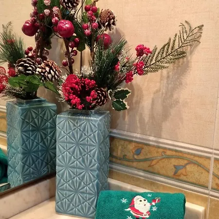 Apartment 2 Decorado Por Navidad